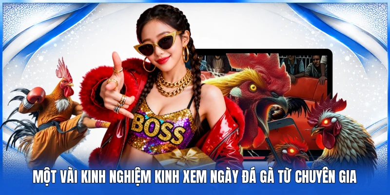Xem Ngày Đá Gà 78Win - Kinh Nghiệm Chuẩn Xác Từ Chuyên Gia 4 Một vài kinh nghiệm kinh xem ngày đá gà từ chuyên gia
