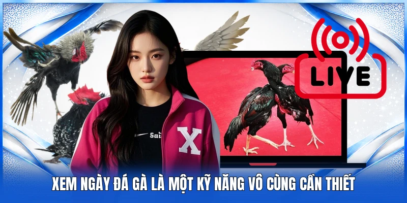 Xem Ngày Đá Gà 78Win - Kinh Nghiệm Chuẩn Xác Từ Chuyên Gia 2 Xem ngày đá gà là một kỹ năng vô cùng cần thiết